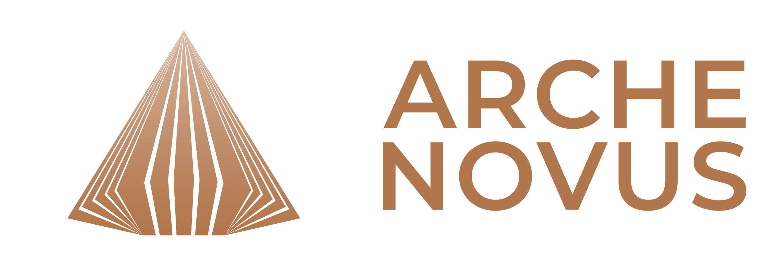 Arche Novus