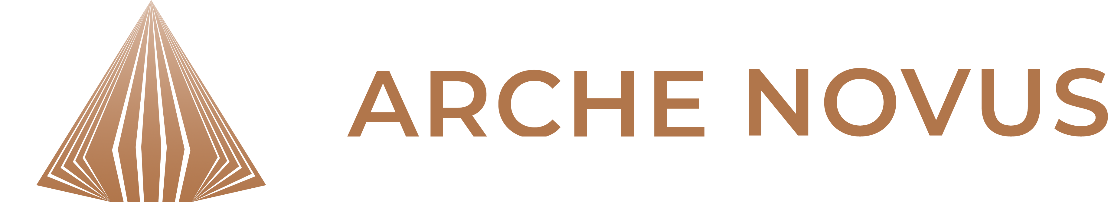 https://archenovus.com/wp-content/uploads/2023/10/logo-.png